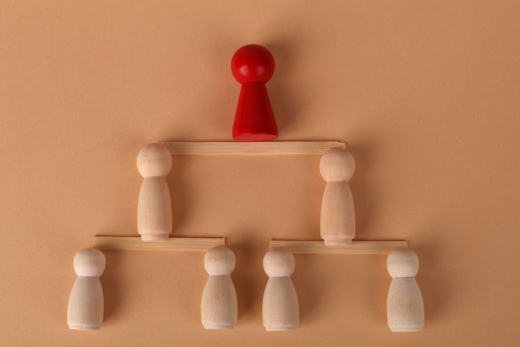 Lean Six Sigma Belt Hierarchy